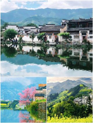 막 홍춘에서 돌아왔는데, 말해야 할지 말아야 할지 모르겠네요.