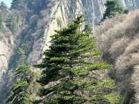 去了4次華山，終於玩明白了。