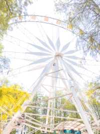 武漢親子遊：中山公園遊樂全攻略