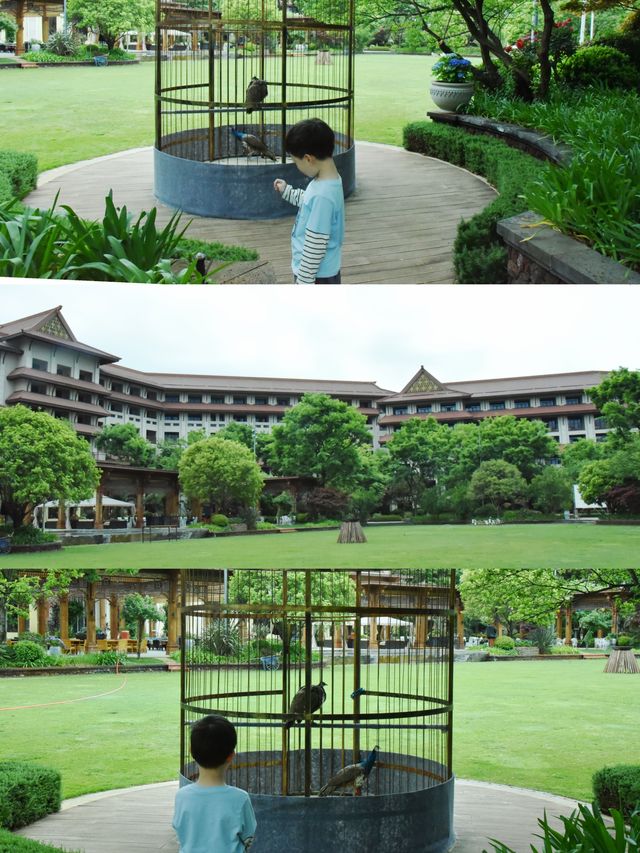 人類幼崽今日份快樂，是古滇皇冠假日給的
