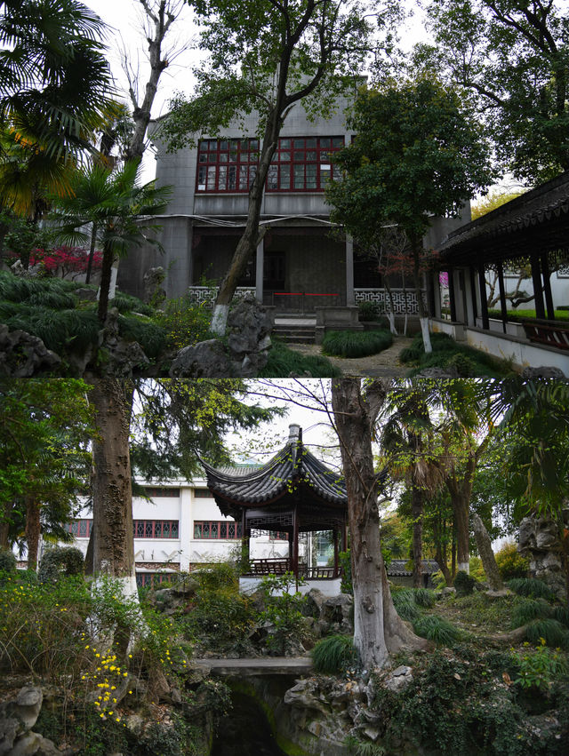蘇州免費"國保"園林，藏在圖書館裡的天香小築。