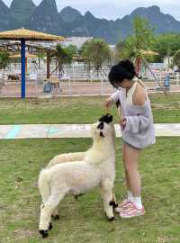在桂林！現實版動物城！太治癒啦