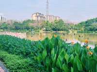 廣東省佛山市公園景點：湖心公園，適合觀光旅遊、度假休閒等！