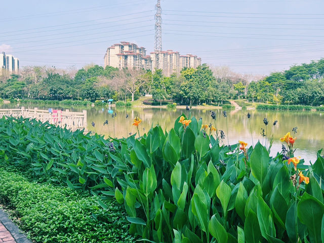 廣東省佛山市公園景點：湖心公園，適合觀光旅遊、度假休閒等！