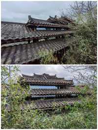 桂之旅丨龍勝龍脊梯田a