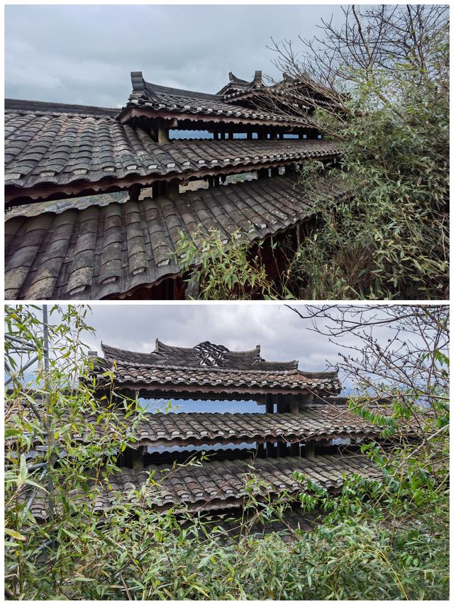 桂之旅丨龍勝龍脊梯田a