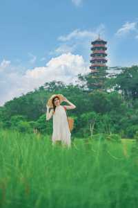 地鐵直達嘅綠色誤入宮崎駿漫畫裏面嘅夏天