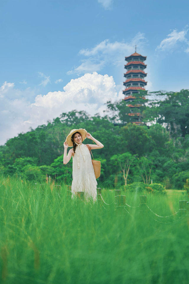 地鐵直達嘅綠色誤入宮崎駿漫畫裏面嘅夏天