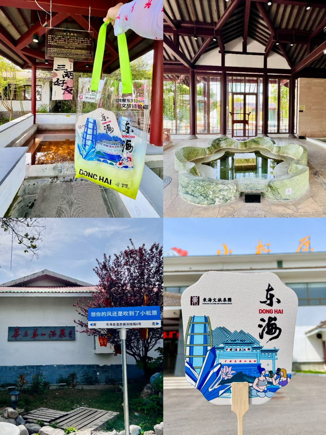🔥 說走就走的東海「躺平游」有多爽？🔥