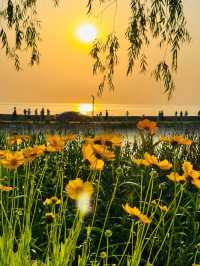 被朋友圈問爆嘅秘境：我喺太湖小島做咗兩日島民