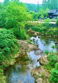 河南信陽旅遊攻略：帶你體驗茶園生活