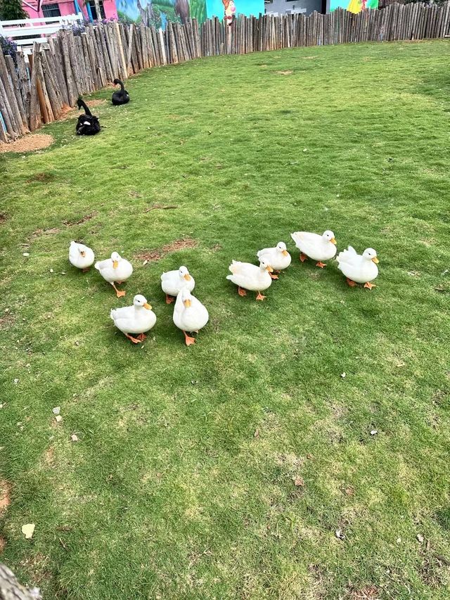 蒙自動物園｜親子好去處