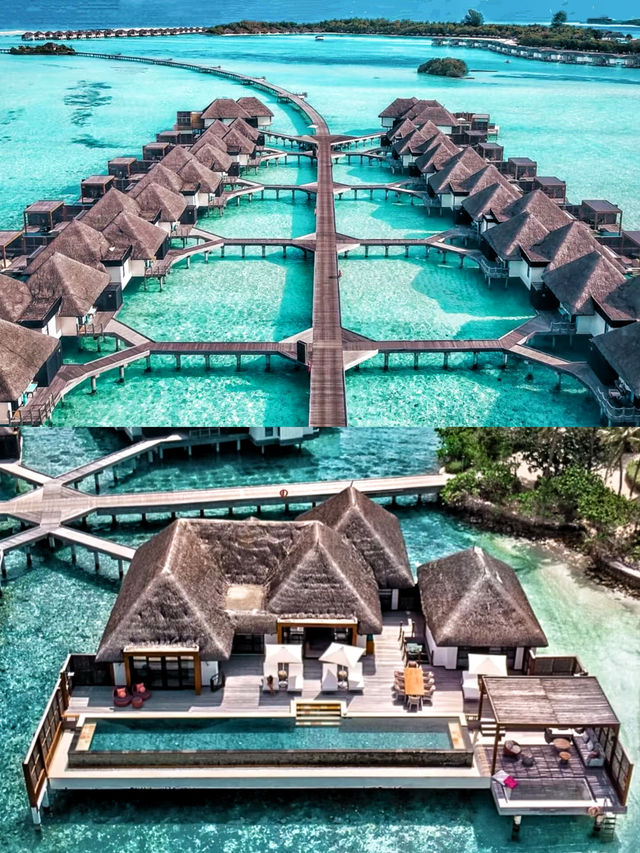 馬爾代夫庫達呼拉島四季度假酒店 跳進海島的夏天