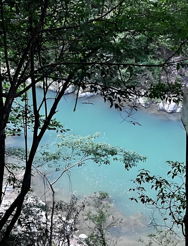 漳州南靖樹海瀑布：探索閩南綠野仙蹤