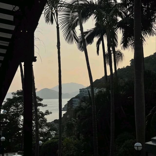 🌺影灣園錯摸遇浪漫！淺水灣飲到人生最佳Mocktail
