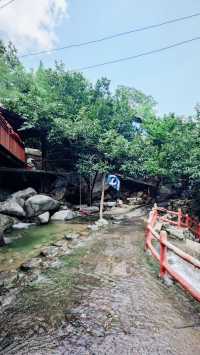 誤入臨沂山野邂逅現實版「嚮往的生活」