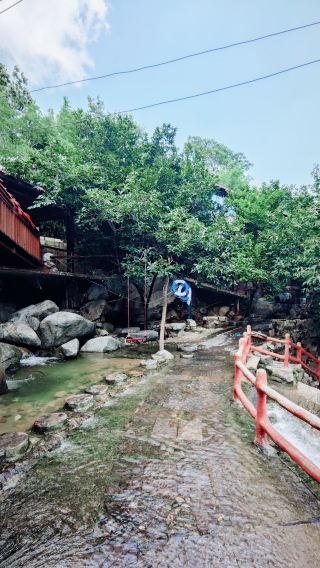 린이 산야에 우연히 들어가 현실판 "동경하는 생활"을 만나다