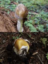 喺雨崩除咗行山，仲有咩隱藏玩法？