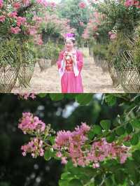南昌鳳凰溝夏季「追花」全攻略！