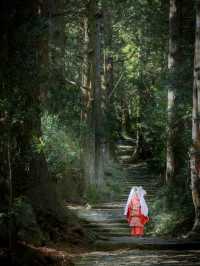 熊野古道｜遇見神明散步嘅森林