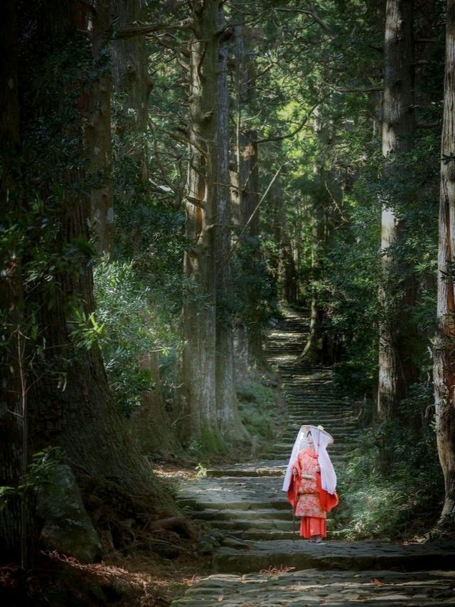 熊野古道｜遇見神明散步嘅森林