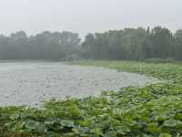 雨中圓明園：歷史與自然的私語