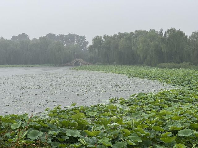 雨中圓明園：歷史與自然的私語