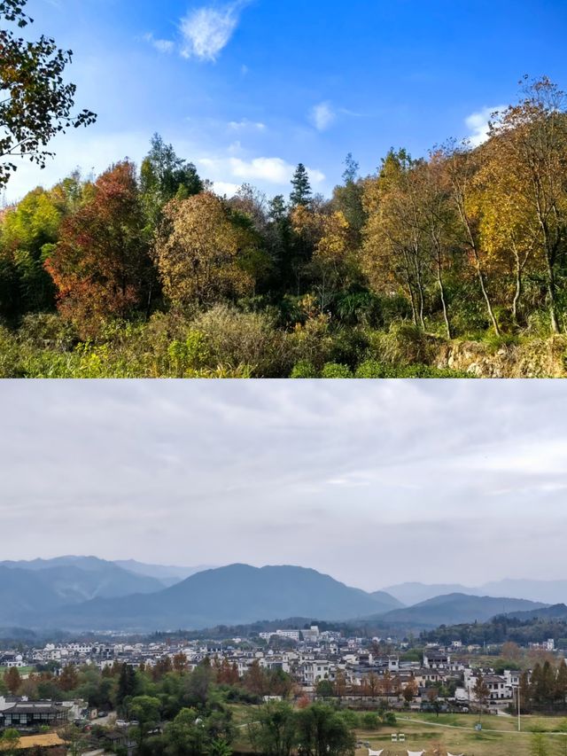 塔川森林公園，邂逅秋天的童話！