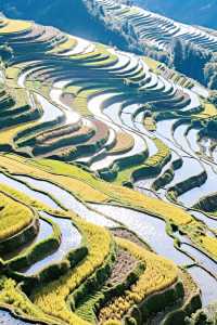 梯田—天顏