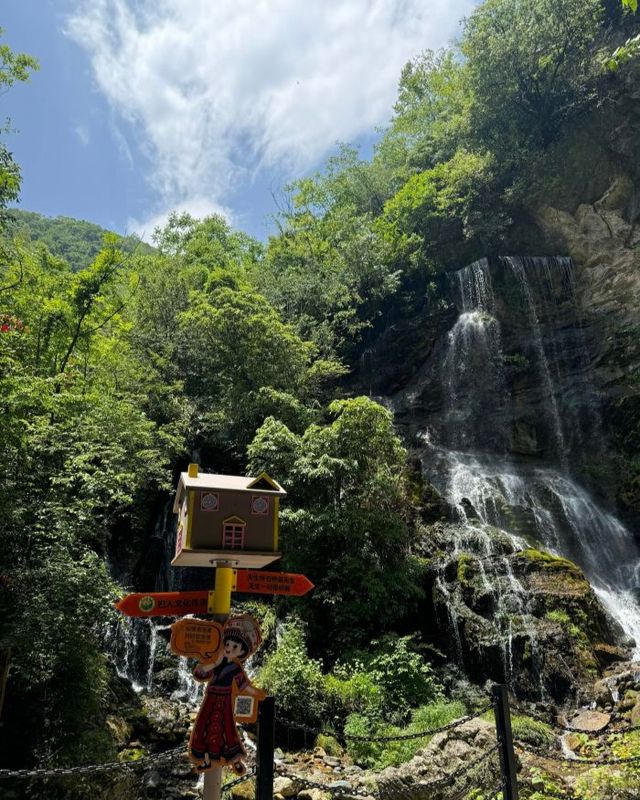 中國最大原始森林——神農架