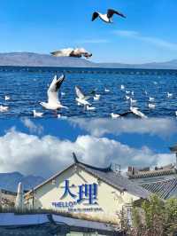 -《大理影相聖地大公開，輕鬆拍出網紅大片》