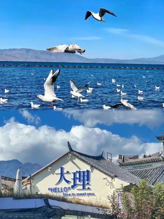 -《大理影相聖地大公開，輕鬆拍出網紅大片》