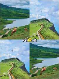 6-8月親子遊·避暑必去嘅4個清涼勝地