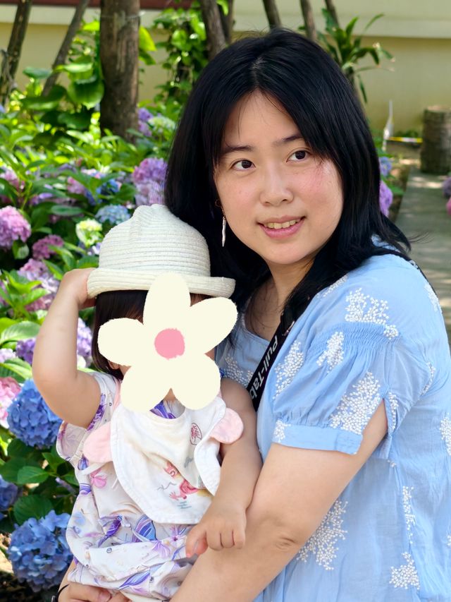 無盡夏日開啟，福州賞繡球花要抓緊了