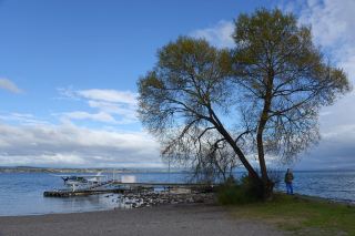 Must-Do List for New Zealand's North Island!