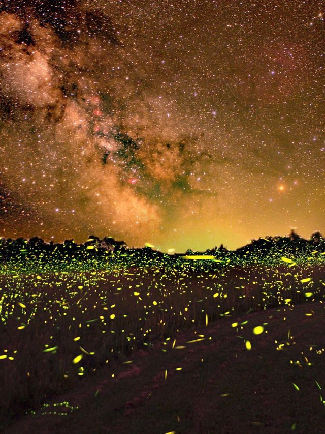 接下來嘅江浙滬｜將墜入流星同螢火共舞嘅夢幻夜||