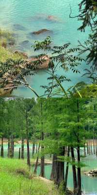 中山石寨水庫徒步攻略：夏日裡的「阿勒泰」