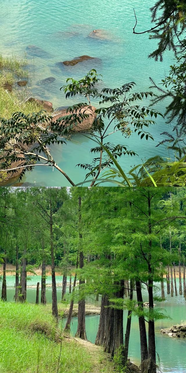 中山石寨水庫徒步攻略：夏日裡的「阿勒泰」