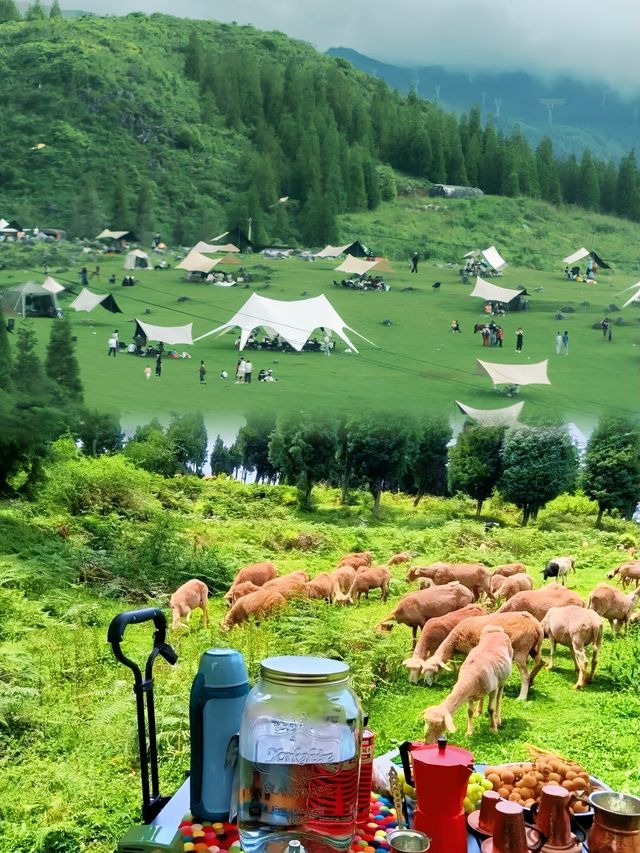 紅河州個舊/發現咗神秘嘅地方可以一家人去露營