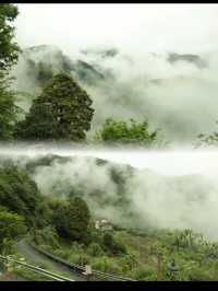 重慶四面山下嘅山野小院！避暑秘境好chill