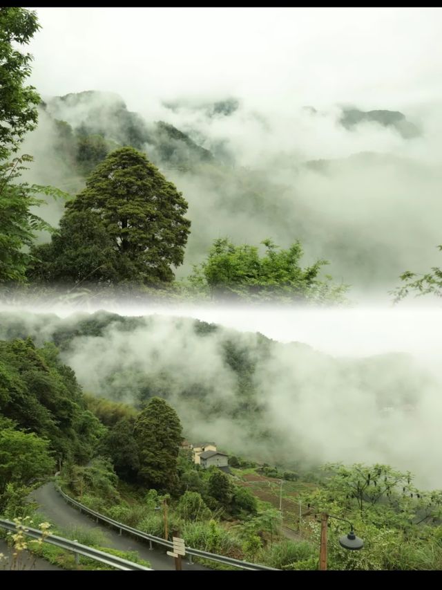 重慶四面山下嘅山野小院！避暑秘境好chill