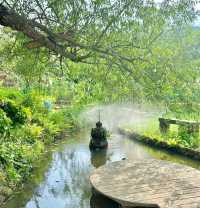 莆田賞荷|誤入莫奈花園，闖進夏日限定🪷