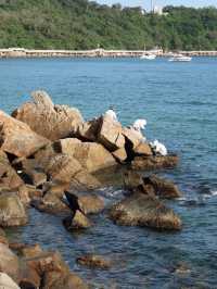 深圳免費小眾海岸線｜徒步&海景控必衝