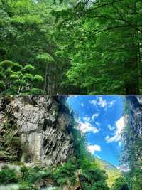 森林秘景 真心建議去嘅地方