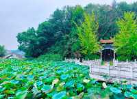 2025長沙縣印山湖公園保姆級攻略！