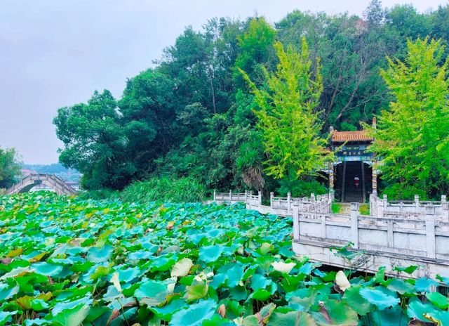 2025長沙縣印山湖公園保姆級攻略！