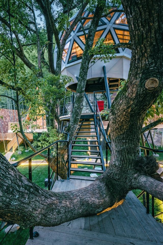 余姚親子家庭狂讚嘅神仙部落！住樹屋、追螢火蟲，嚟咗就唔想走