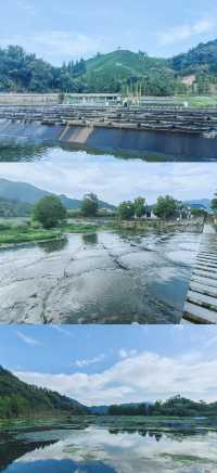 避暑攻略！杭州25℃玩水秘境，不搶真的會後悔