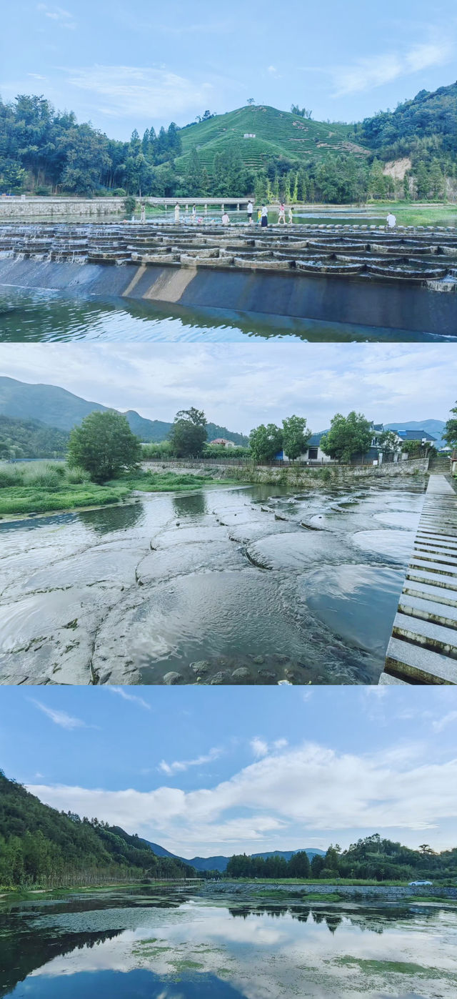 避暑攻略！杭州25℃玩水秘境，不搶真的會後悔