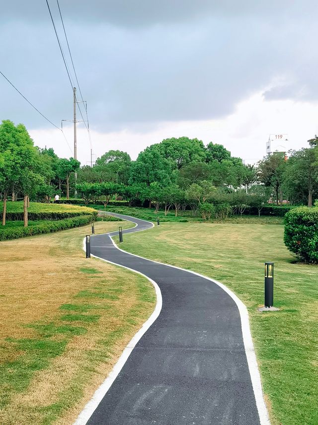 浦發公園 | 夏日綠蔭，散步遛娃超正